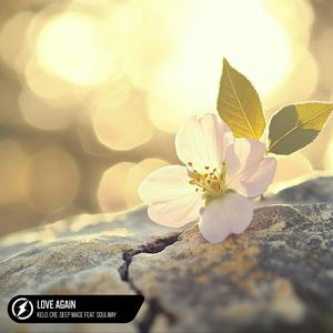 张柏芝荫荫毛泬H D
