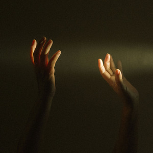 张柏芝荫荫毛泬H D
