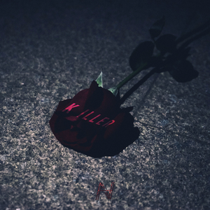 张柏芝荫荫毛泬H D
