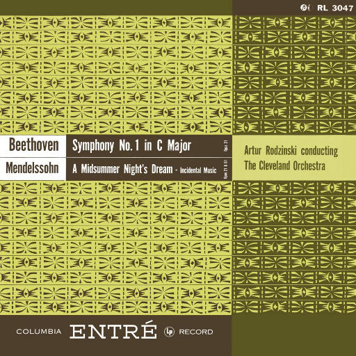 张柏芝荫荫毛泬H D
